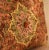 Modern Rust Cotton Embroidered Decorative Pillow Cover For Sale - Image 3 of 5