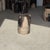 Side Table in Black Petrified Wood with Beige Fine Mesh Pattern For Sale - Image 13 of 18