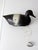 Vintage Neumann & Bennetts Plasti-Duk Scaup Duck Decoy With Weight For Sale - Image 4 of 16