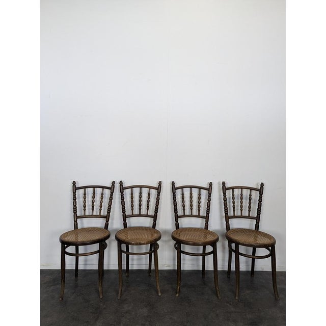 Dining Chairs in Wood from Thonet, Set of 4, in Very Good conditions.