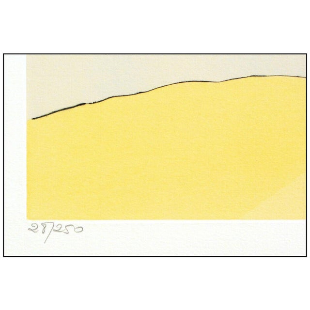 Salvador Dalí 1974 the Elephant and the Monkey Jupiter Surrealism Yellow Engraving Salvador Dalí For Sale - Image 4 of 6