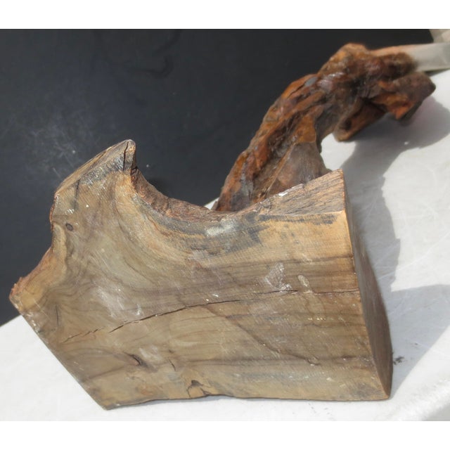 Moses Olivewood Carving by Ezra For Sale In New York - Image 6 of 8