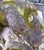 Cast Stone Dog Garden Statue With Moss Patina Mid 20th Century For Sale - Image 13 of 15