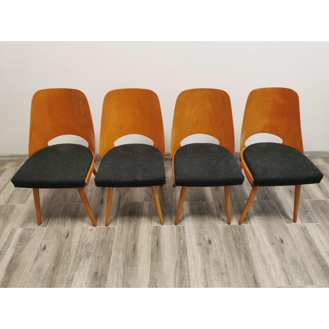 Dining Chairs by Radomir Hoffman for Ton, 1950s, Set of 4 For Sale - Image 17 of 18
