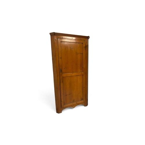 Brown Antique Single-Door Corner Wardrobe with Internal Shelves For Sale - Image 8 of 9