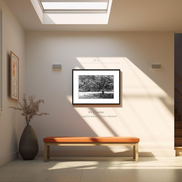 Paul Cooklin, Trees, Edition of 50 For Sale - Image 4 of 5