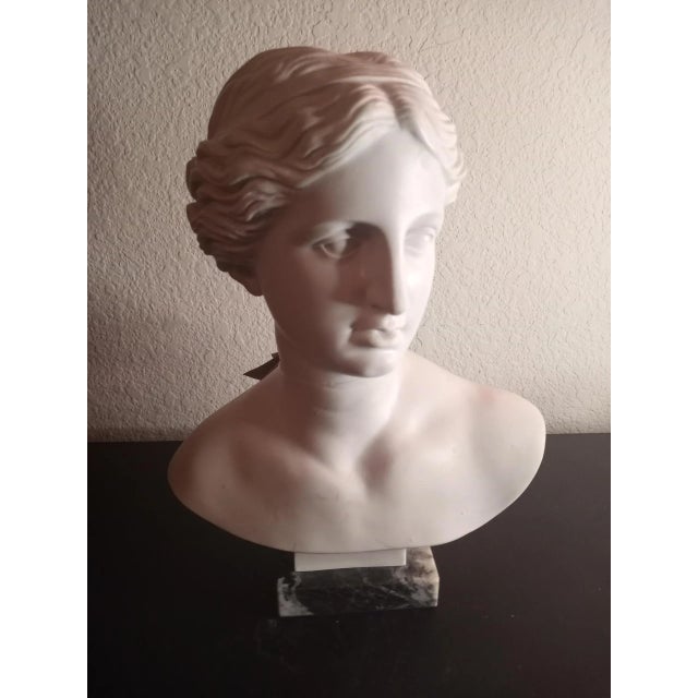 Stone 1980s Santini Italy Genuine Carrara Marble Bust Sculpture For Sale - Image 7 of 8