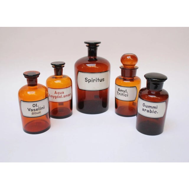Vintage German Amber Glass "Amylum Tritici" Apothecary Bottle | Chairish