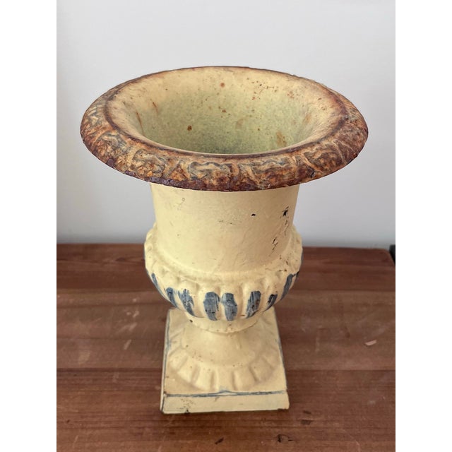 Light Yellow Mid-Century Petite Cast Iron Medici Style Garden Urn in Pale Buttercup Yellow For Sale - Image 8 of 12