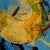 Early 21st Century Monika Rossa, Abstraction, 2026, Oil on Canvas For Sale - Image 5 of 7