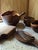 Hand-Carved Olive Wood Serveware, 1980s, Set of 16 For Sale - Image 15 of 18