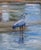 2020s Big Landscape Art With a Great Blue Heron For Sale - Image 5 of 5