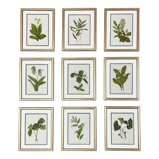 Original Vintage Botanical Prints Framed -Set of 9- 1975 Wild Flower Prints For Sale