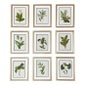 Shop Timeless Walls