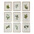 Original Vintage Botanical Prints Framed -Set of 9- 1975 Wild Flower Prints For Sale