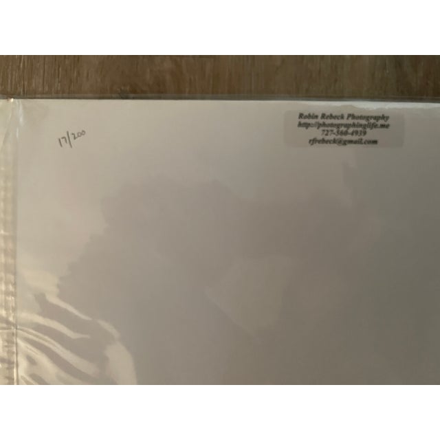 Lot of 3 New Orginal Color Matted Unique Photographs Signed by Robin Rebeck For Sale - Image 15 of 15