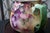 1900 - 1909 Antique William Guérin & Co. Limoges Hand-Painted Blackberry & Blossom Porcelain Pitcher, France, C. 1900–1910 For Sale - Image 5 of 8