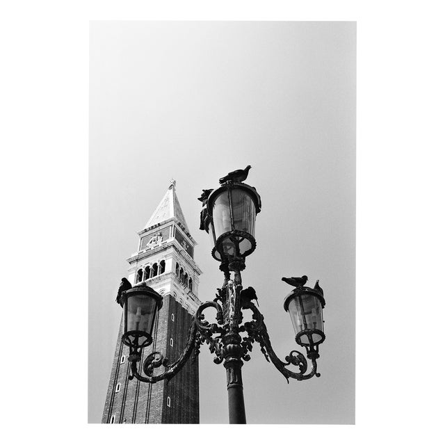 Paul Cooklin, Pigeons, Saint Marks Square, Edition of 50 For Sale