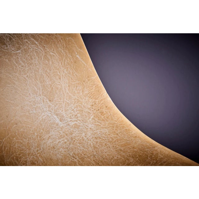 French Fiberglass Chair by Jean-René Picard for S.E.T.A, 1950s For Sale - Image 4 of 13