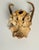 Antique Roe Deer Antlers Taxidermy For Sale - Image 4 of 4