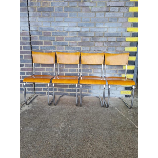 Functionalist Tubular Chairs, 1930s, Set of 4, in Very Good conditions. Designed 1920 to 1949