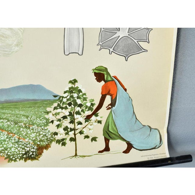 Botanical Wall Chart By Jung Koch Quentell Cotton Canvas backed - Original wooden hangers - German ~ 1960s - 102cm x 116cm...