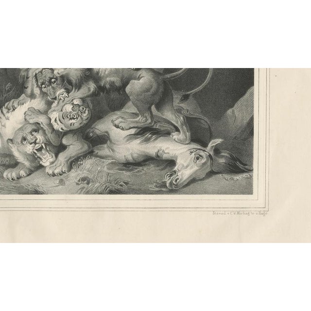 Raden Saleh, Tigers & Lions Fight Horse, Lithograph, 1845 For Sale - Image 9 of 10
