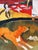 Mid 20th Century Mid-20th Century Paul Gauguin "Pastorales Tahitiennes" French Tapestry 3'3" X 4'2" For Sale - Image 5 of 9