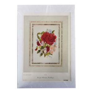 1980s After Mrs. J.W. Loudon Floral Bouquet Lithograph