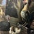 Textile Oil on Canvas Beginning of 20th Century Flemish School Framed Bird World For Sale - Image 7 of 11