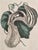 1940s Vintage Framed Aristolochia Botanical Print in Emerald Faux Burl Frame For Sale - Image 5 of 11