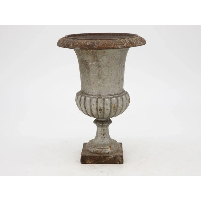 French Petite Cast Iron Urn For Sale - Image 3 of 8