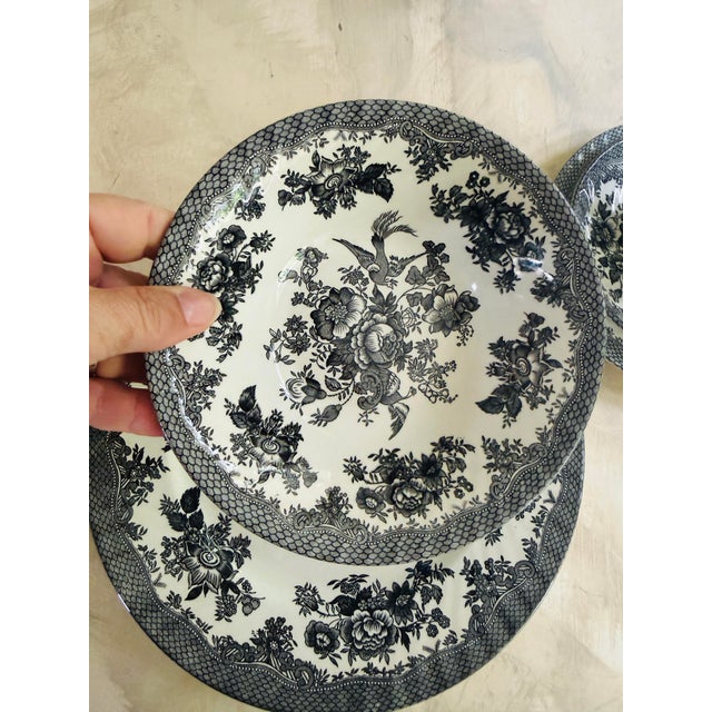Black 1980s Set of Nineteen (19) Barratts England Black Transferware Dinnerware Set, Asiatic Pheasant Style, Dinner Plates Bowls Teacups Saucers For Sale - Image 8 of 12