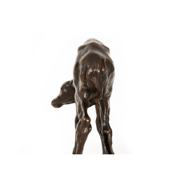 Fine American West Bronze Sculpture “Fawn” by Alexander Phimister Proctor For Sale - Image 11 of 12