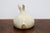 French Ceramic Fat Rabbit For Sale - Image 4 of 6