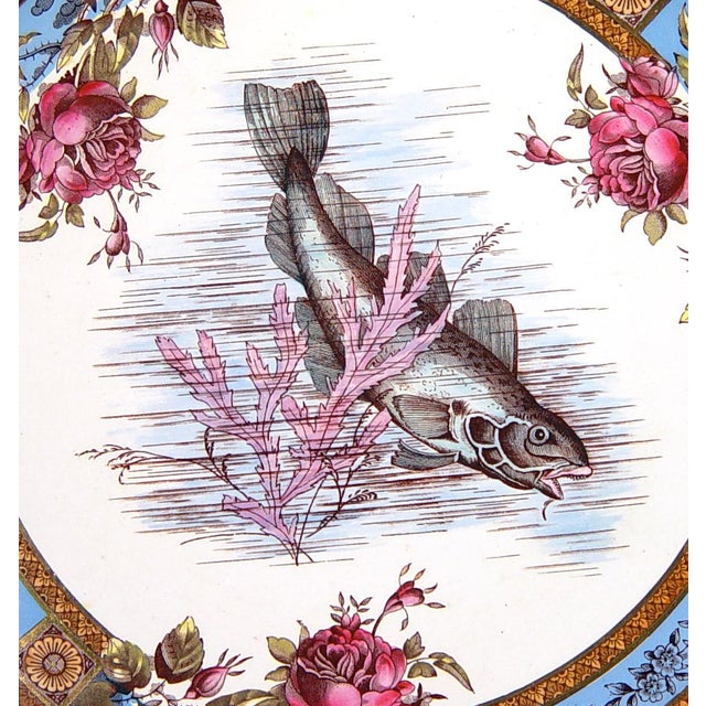 Victorian English Pottery Earthenware Set of Six Plates Decorated With Fish For Sale - Image 3 of 4