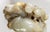 20th Century Chinese Qing Style Nephrite Jade Carving of Boys and Ram For Sale - Image 11 of 13