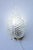 Glass Set of 2 Wall Light Trasparent Murano Glass Leave by Barovier E Toso, 1950s For Sale - Image 7 of 15