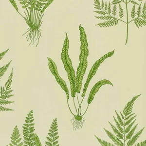 Sanderson Woodland Ferns Wallpaper in Green - a Sample
