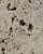 Vintage 1980s Postmodern Biomorphic Gray Fossiliferous Limestone Coffee Table For Sale In New York - Image 6 of 7