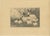 Henri Verstijnen, English Spot Rabbits Wildlife, 1925, Lithograph For Sale - Image 9 of 9