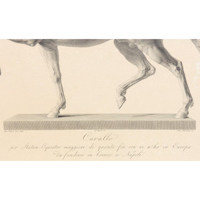 Pair Early 19th Century Italian Engravings After Antonio Canova by Marchetti For Sale In Rochester - Image 6 of 6