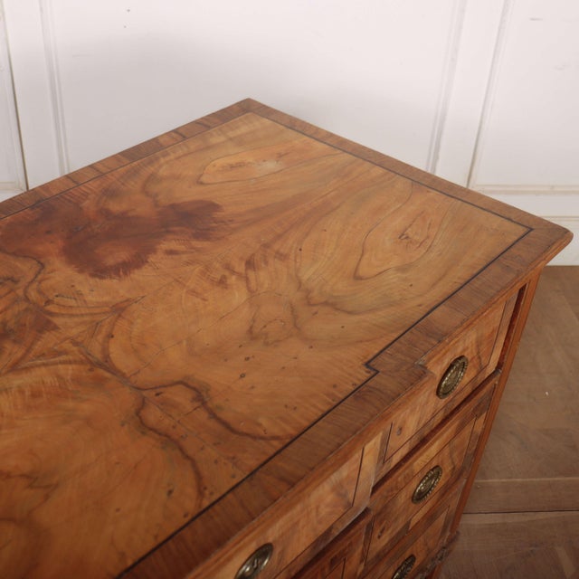 Austrian Breakfront Commode in Walnut For Sale - Image 11 of 12