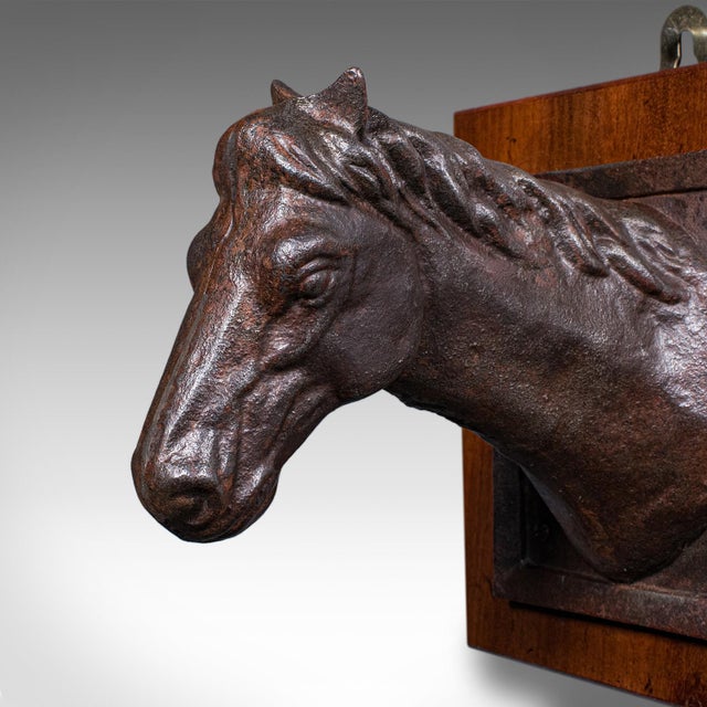 Brown Antique Mounted Horse Bust, English, Iron, Coat Hook, Equestrian Tack, Edwardian For Sale - Image 8 of 10