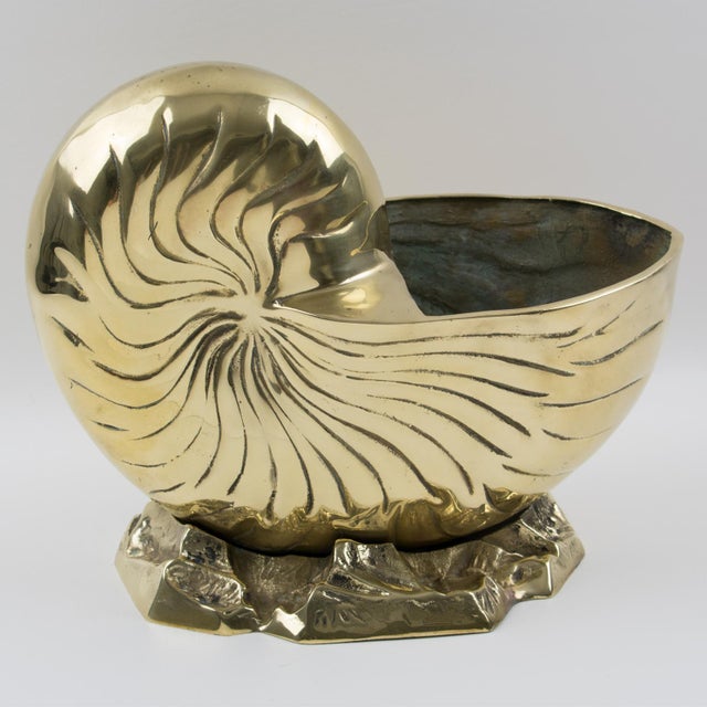 Brass Nautilus Sea Shell Wine Cooler Bottle Holder Vase Planter
