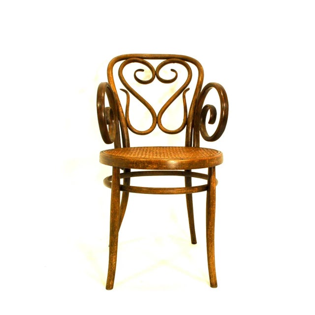 Mid 20th Century Mid 20th Century Bentwood Arm Chair With Caned Seat by Salvatore Leone For Sale - Image 5 of 8