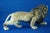 Ceramic Lion and Lioness Sculptures by Ernst Wahliss for Goldscheider, Austria, Early 20th Century, Set of 2 For Sale - Image 11 of 18