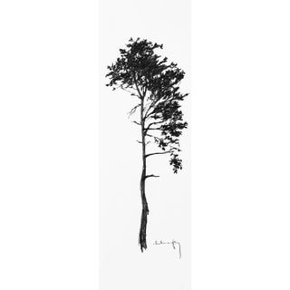 "Print Collection: Tree Study" Contemporary Original Black and White Landscape Print on Paper For Sale
