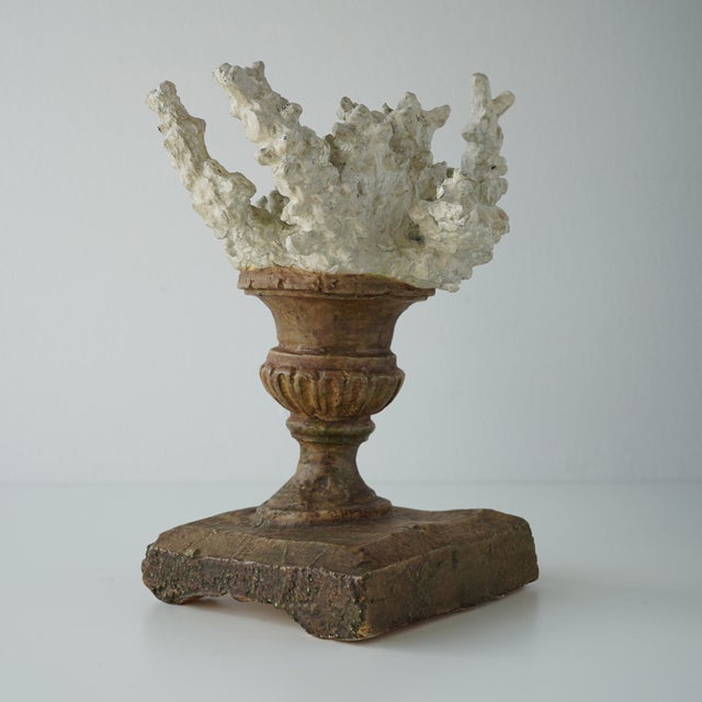 Faux Coral Assemblage on an Antique Italian Urn Decorative Sculpture For Sale - Image 14 of 15