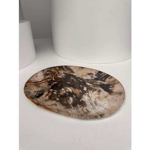 Very Large Vide-Poche or Dish in Petrified Wood For Sale - Image 3 of 18